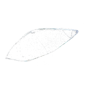 Crystal Down Image 4 - Matices Tequila